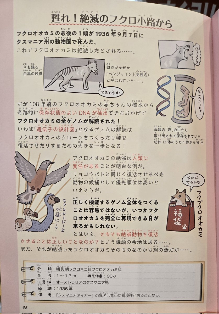 VolkovRowan's tweet photo. Very interesting #Japan find of the #thylacine in a book shop! 
フクロオオカミ literally translates to "pouched wolf" https://t.co/MqLPLWV0Ue