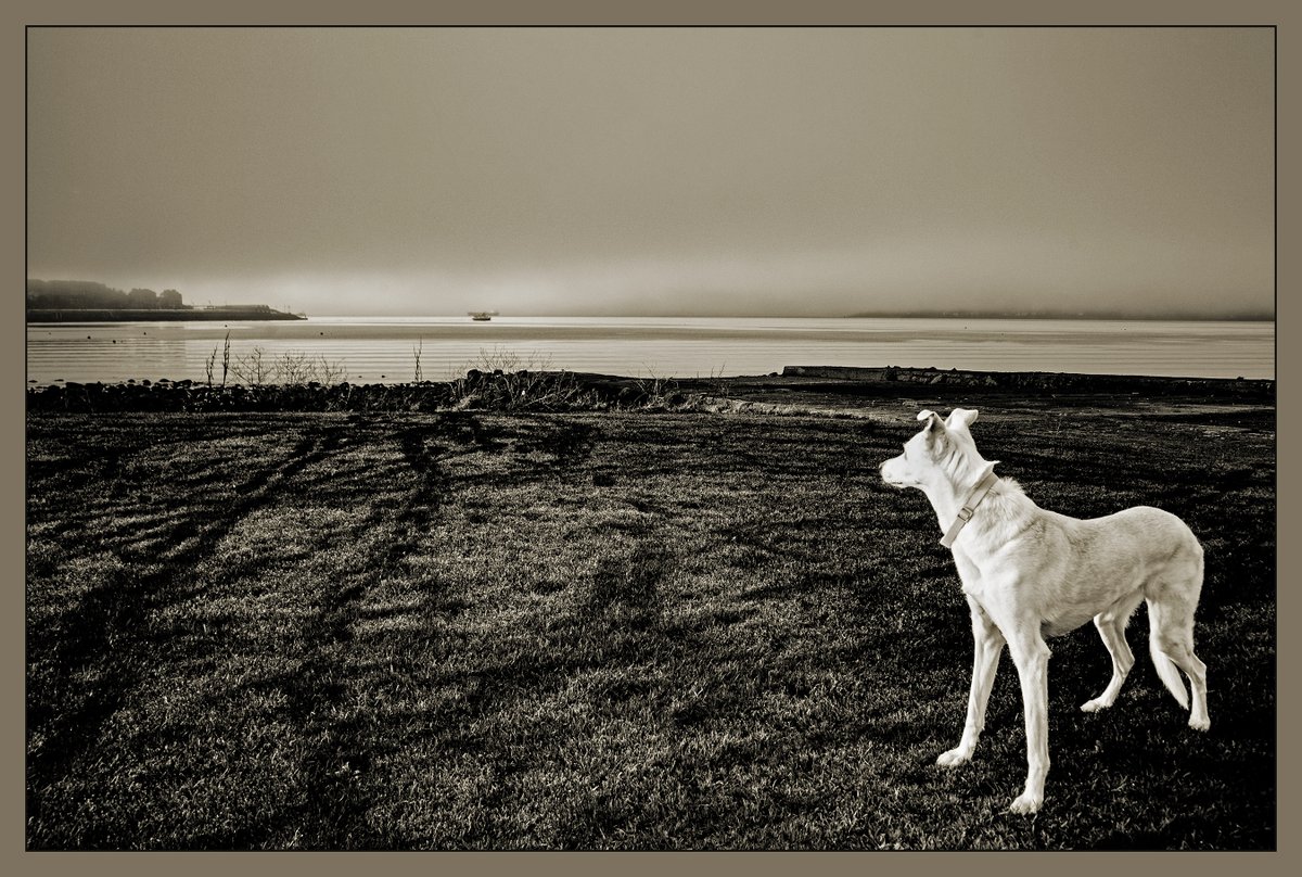 Foggy horizon ........