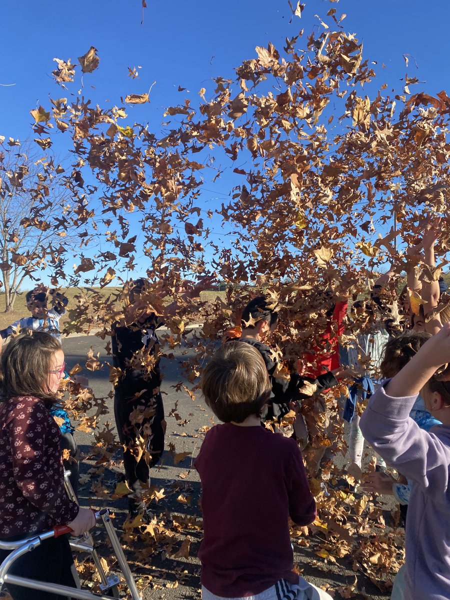 Finally feels like fall and 4th graders couldn’t be happier about it 🍁🍂#beartavernpride