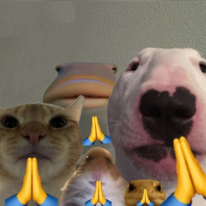 MarshaTrades's tweet photo. @tradescoutxx Praying to god that we get one last dip https://t.co/xprwVuSo3n