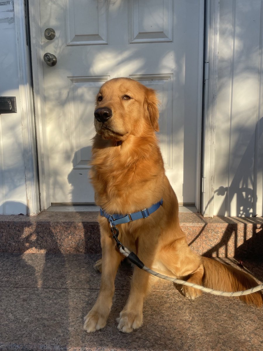 TAGEJM_'s tweet image. #golden