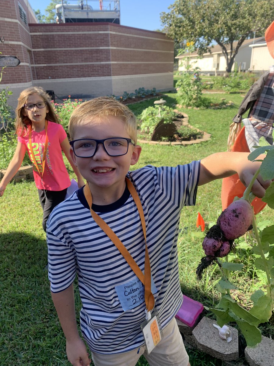 Elaine Winger tweet media