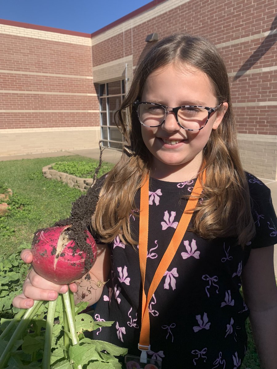 Elaine Winger tweet media