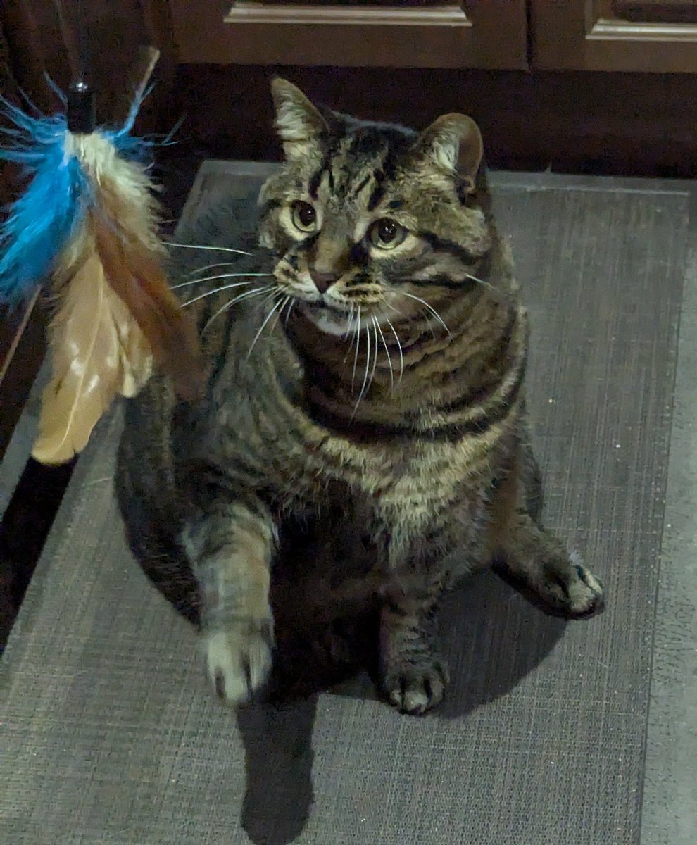 KeitherKeith's tweet photo. Playing "Catch the Feather" with Mom.
#Micker https://t.co/hL5mvErcFZ
