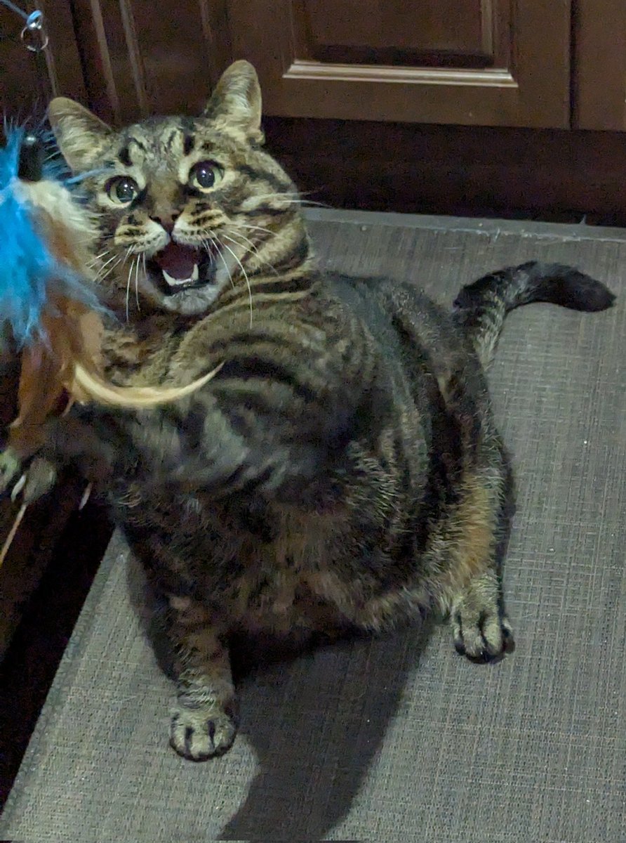 KeitherKeith's tweet photo. Playing "Catch the Feather" with Mom.
#Micker https://t.co/hL5mvErcFZ
