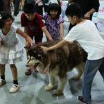 Photo by Big News Network (@bignewsnetwork)