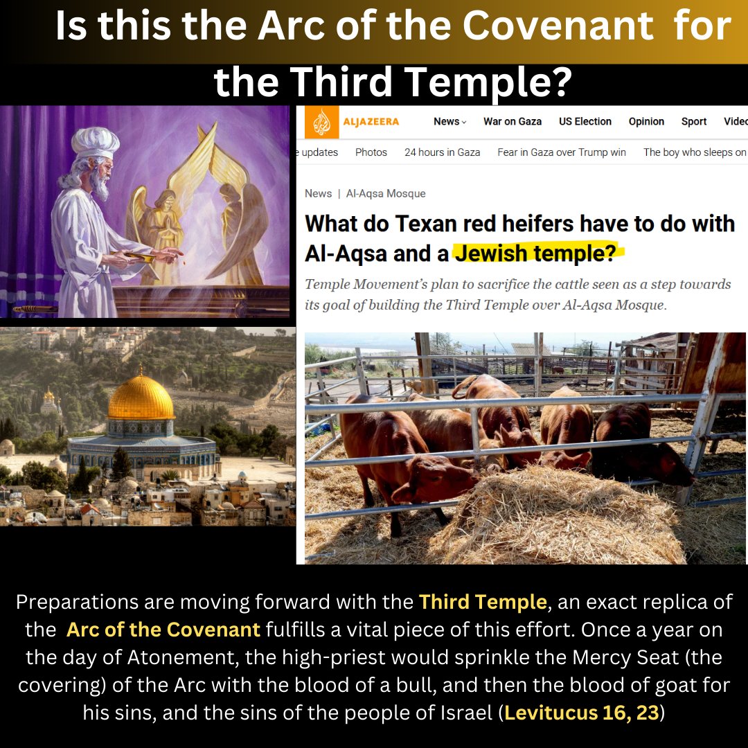 DebateTruth's tweet image. Another  important piece for the Third Temple to be built might be here. The  focus of the God's Temple was a Gold covered box known as the Arc of the  Covenant. Inside this box was the 10 commandments, some Manna and  Aaron's rod. This box was placed on Mount Moriah (Currently…