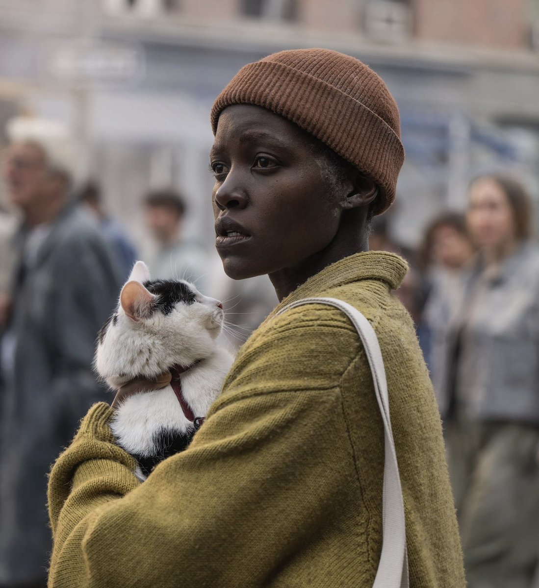 DiscussingFilm's tweet image. Lupita Nyong’o will now officially star in Christopher Nolan’s next movie.

Also starring Tom Holland, Zendaya, Matt Damon and Anne Hathaway.

(Source: hollywoodreporter.com/movies/movie-n…)
