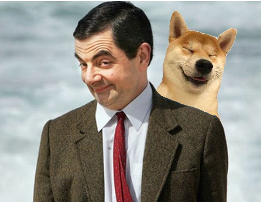 $haha dog tweet media