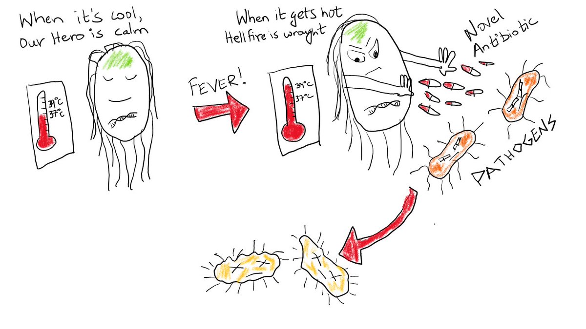 We engineered a special "thermo-amplifier circuit" in probiotic E. coli to release an antibiotic only when they sense a high temperature (like during a fever)— perfect for controlled, targeted treatment!
<a href="/DeySourik/">SOURIK DEY</a> <a href="/Leibniz_INM/">Leibniz_INM</a> <a href="/Helmholtz_HIPS/">Antibiotikaforschung (inaktiv)</a> <a href="/LSCLifeMat/">LSC Living Therapeutic Materials</a>
doi.org/10.1186/s13036…