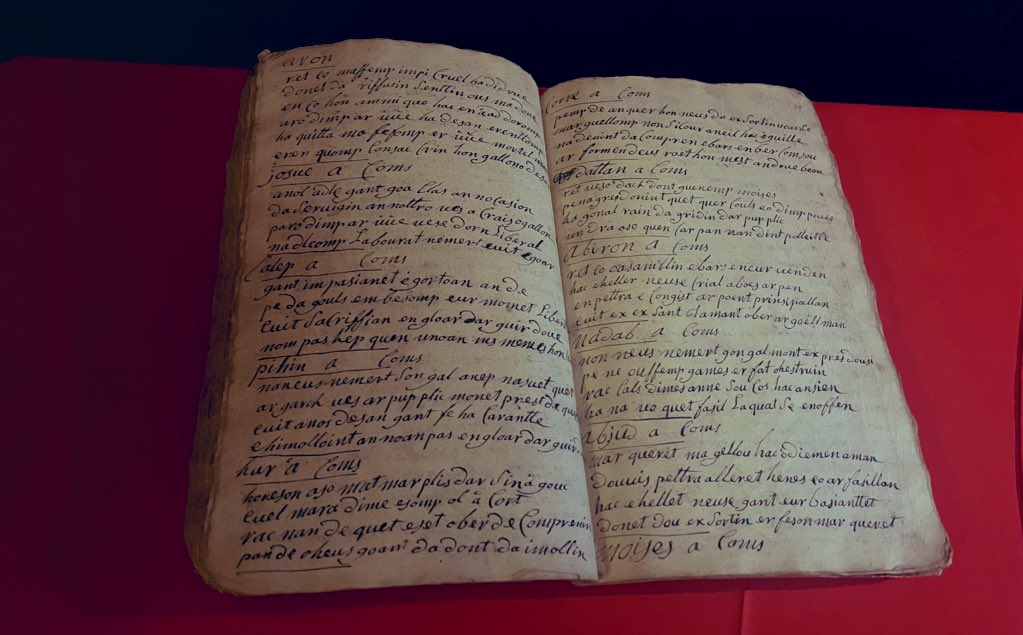 Sioned Williams 🏴󠁧󠁢󠁷󠁬󠁳󠁿 tweet media