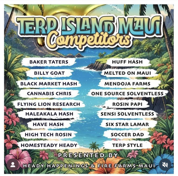 Terp Style tweet media