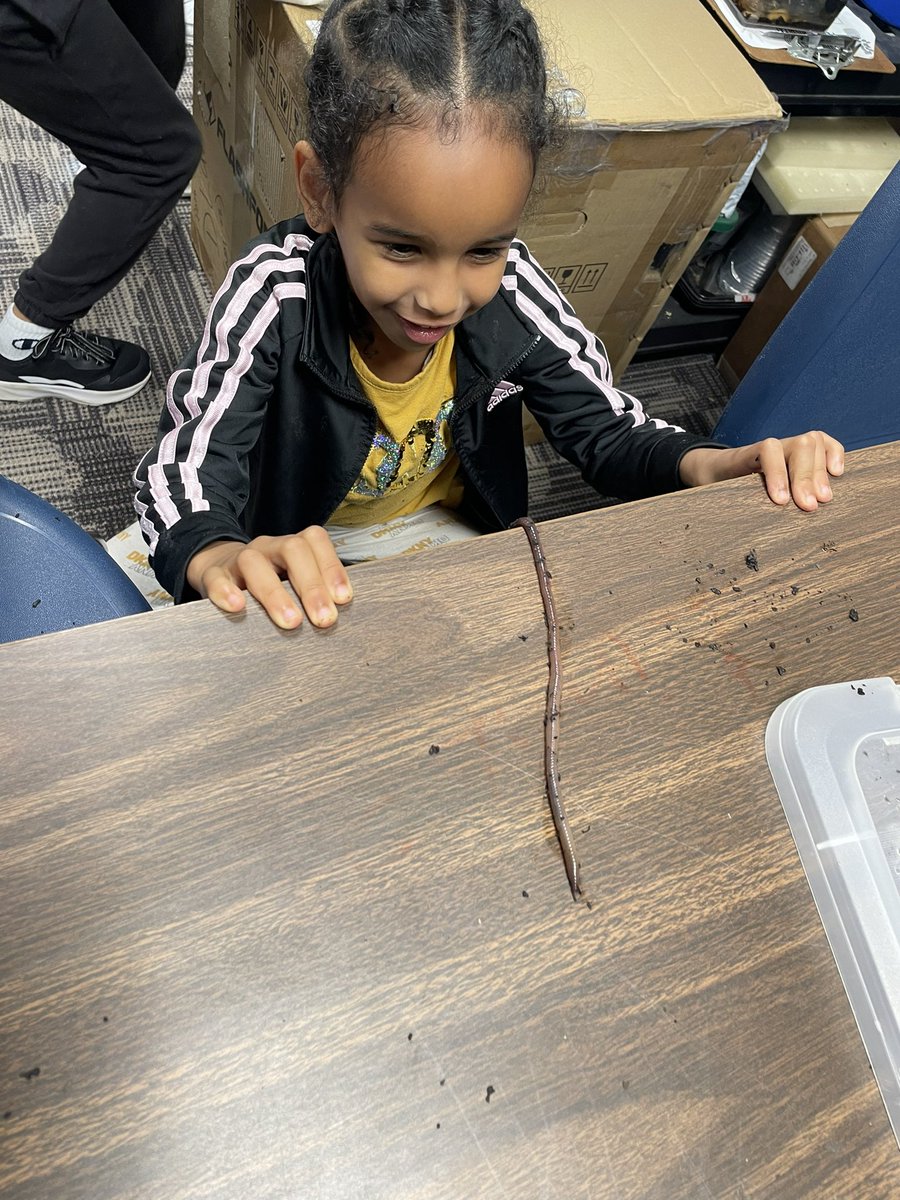 GettingSTEMDunn's tweet image. When the worms come to play, you know it’s going to be a wonderful, wiggly day! #SensoryGarden #TheWonderOfWorms #McGaritySTEM #WGYSTC 🪱#2024