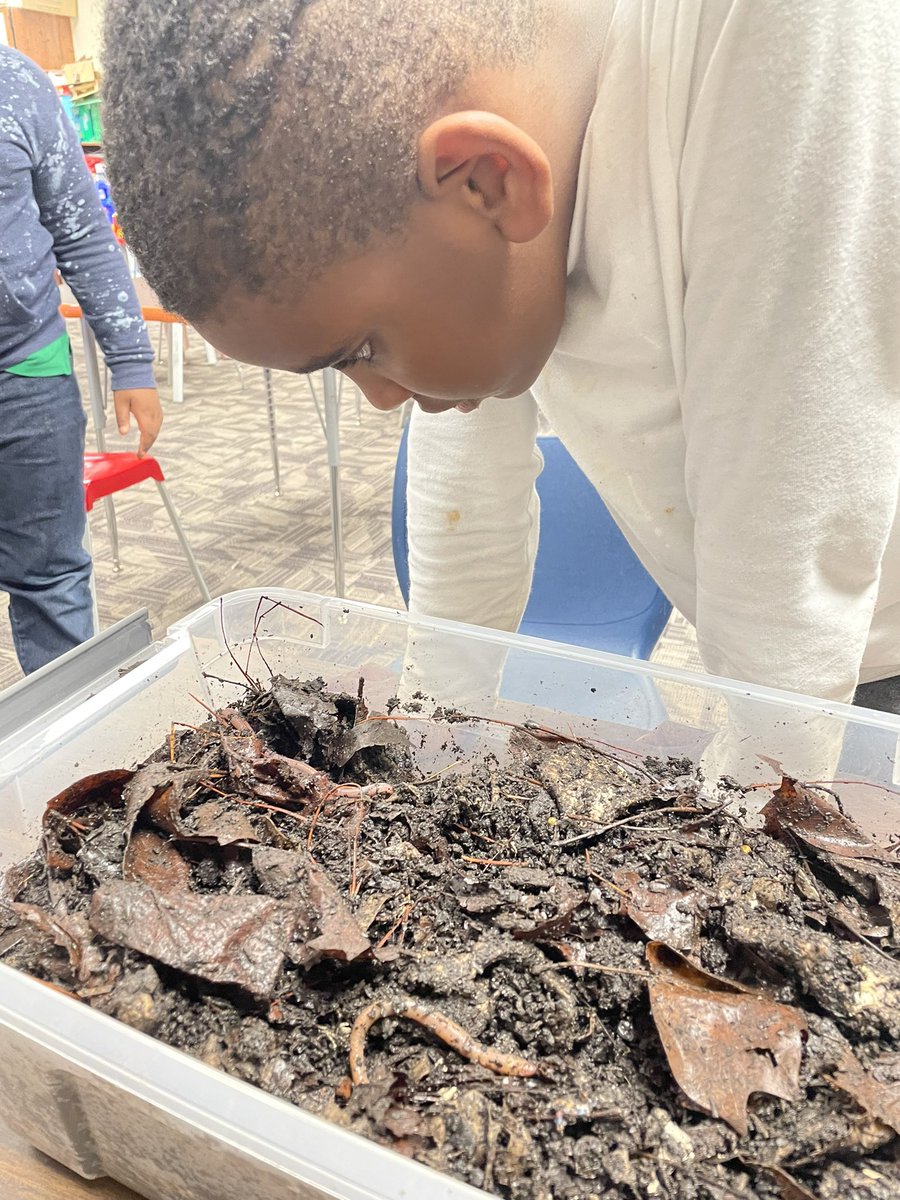 GettingSTEMDunn's tweet image. When the worms come to play, you know it’s going to be a wonderful, wiggly day! #SensoryGarden #TheWonderOfWorms #McGaritySTEM #WGYSTC 🪱#2024