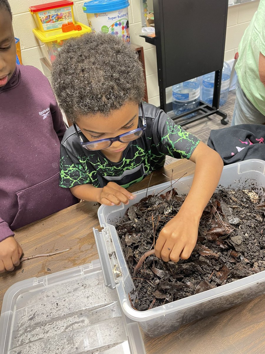 GettingSTEMDunn's tweet image. When the worms come to play, you know it’s going to be a wonderful, wiggly day! #SensoryGarden #TheWonderOfWorms #McGaritySTEM #WGYSTC 🪱#2024