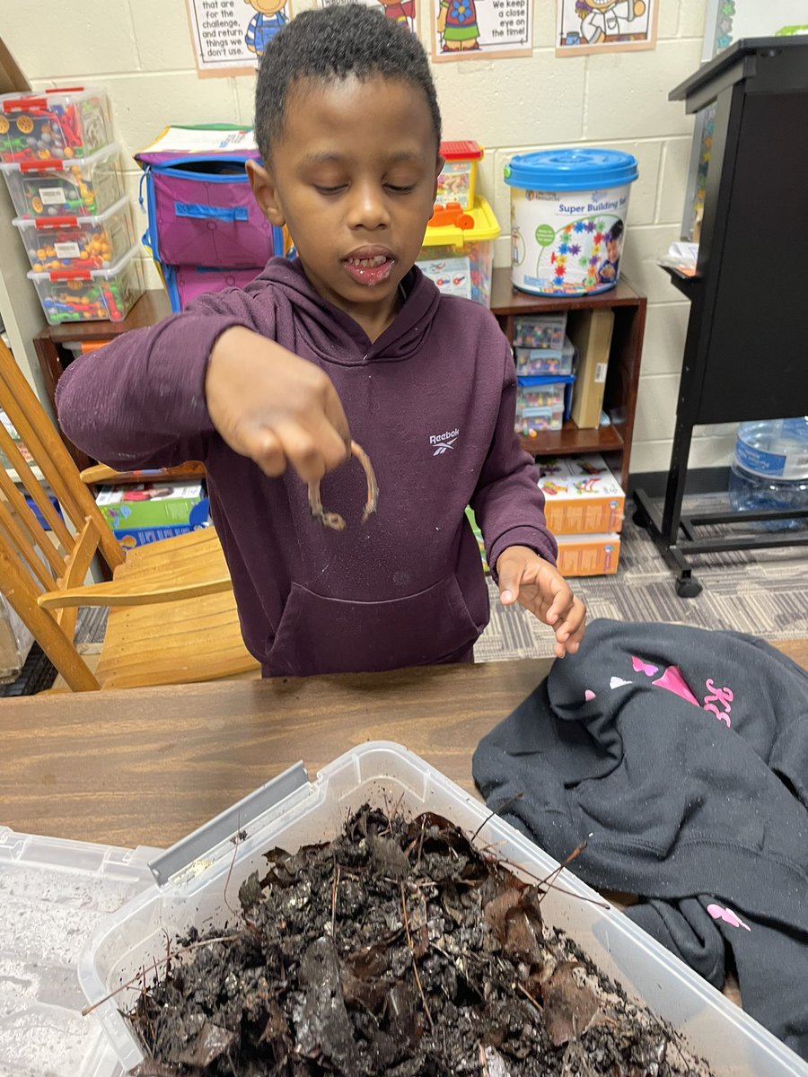 GettingSTEMDunn's tweet image. When the worms come to play, you know it’s going to be a wonderful, wiggly day! #SensoryGarden #TheWonderOfWorms #McGaritySTEM #WGYSTC 🪱#2024