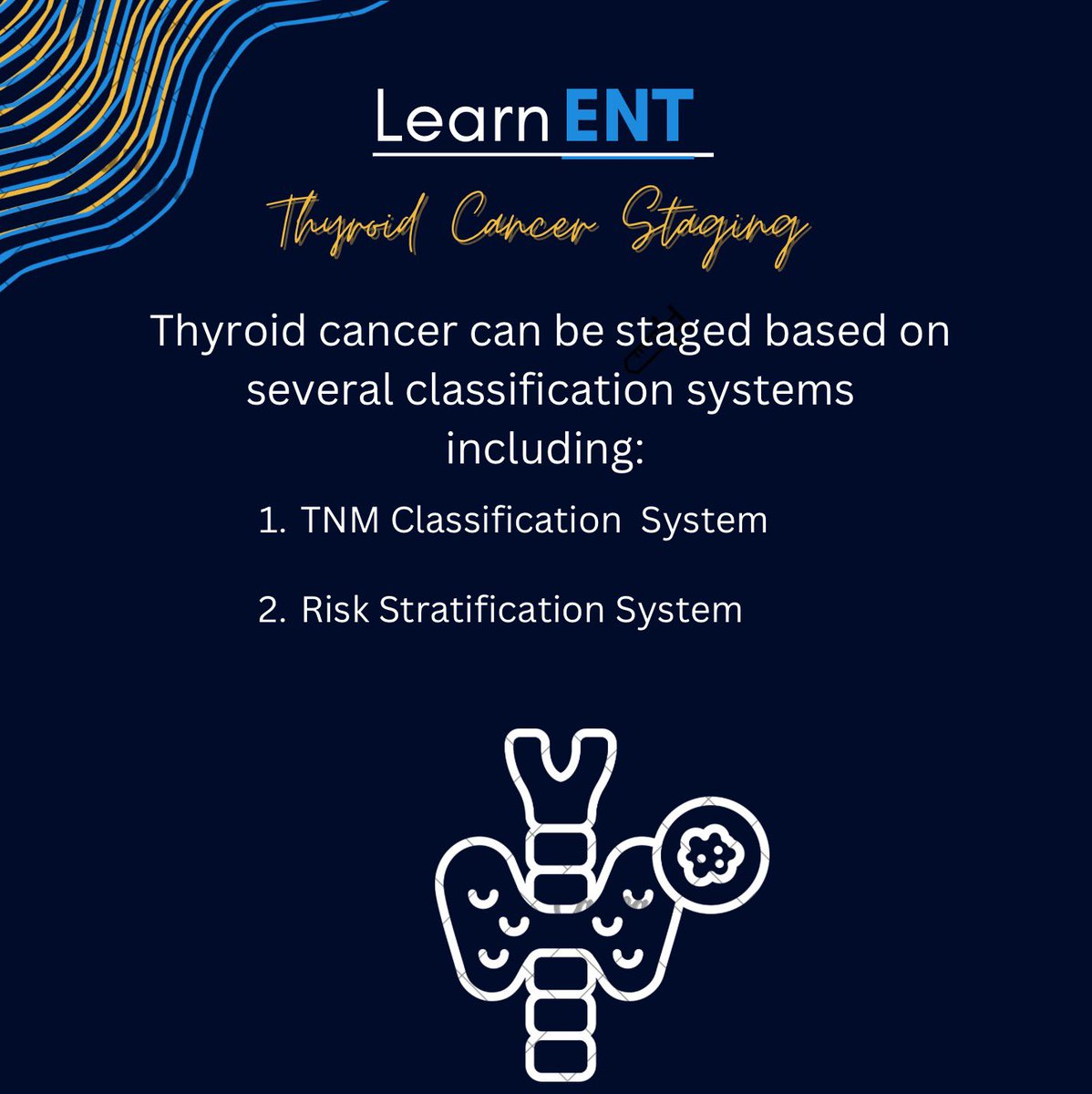 LearnENT's tweet photo. How do we stage thyroid cancer? Here is a quick guide on the TNM system and risk stratification📊🎯 https://t.co/C7cG1CiB4v