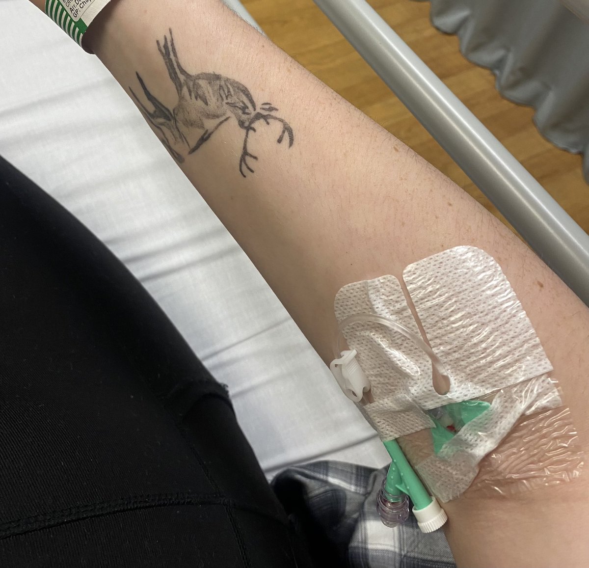 Jess ⚡️ tweet media