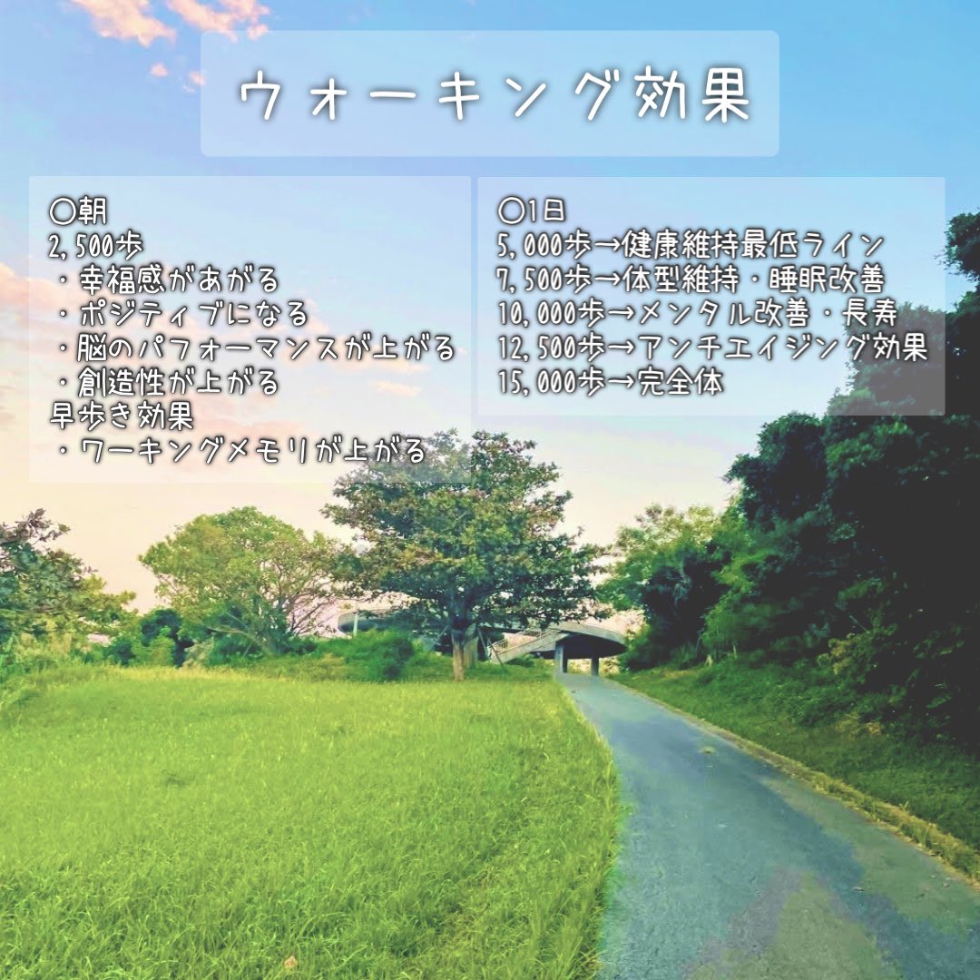 Cちゃん tweet media