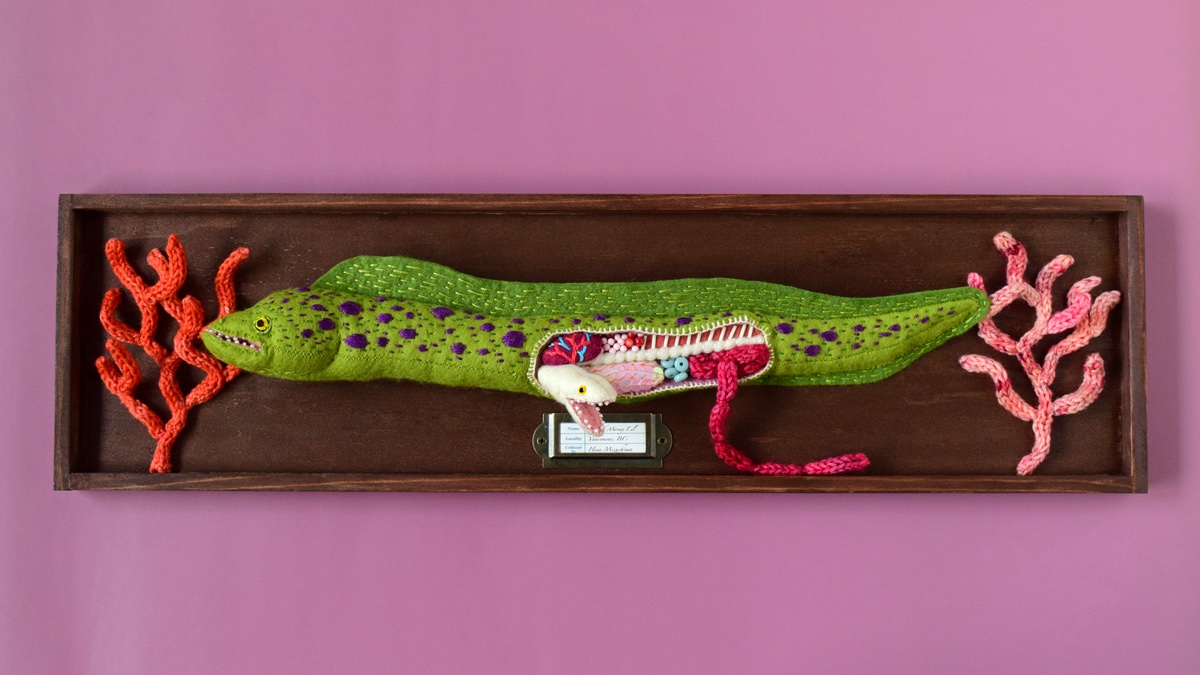 hine_art's tweet photo. And ‘Anatomy of a Spotted Moray eel’
#hinemizushima #Petitfour #ranbu #anatomyart #morayeel https://t.co/478qPuoQku