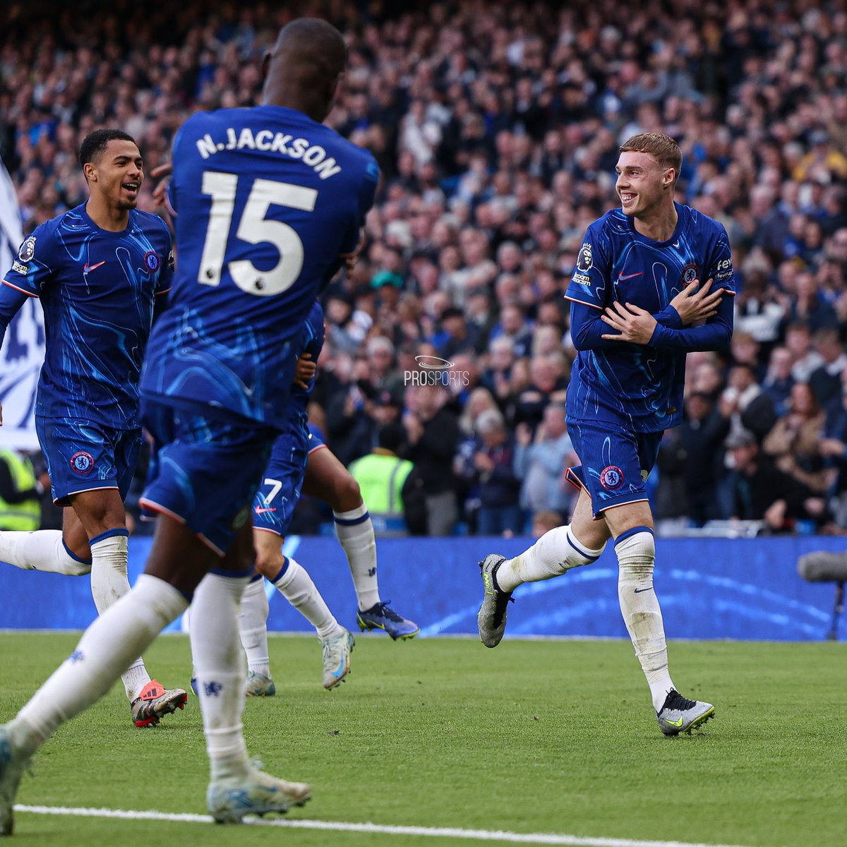 Paul Phelan tweet media