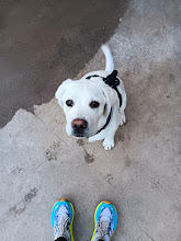 APSWellness's tweet photo. Trotting w/the pups & rack work. Every little bit counts so get out there & move! #thatsnotmystack #rackyourweights @Chris_APSMS @CoachSDavy @MustngPrincipal @AHAHSprincipal @smsixteen @swim100 @LRESchool @AlamosaPrinci https://t.co/WH9c2sqopm
