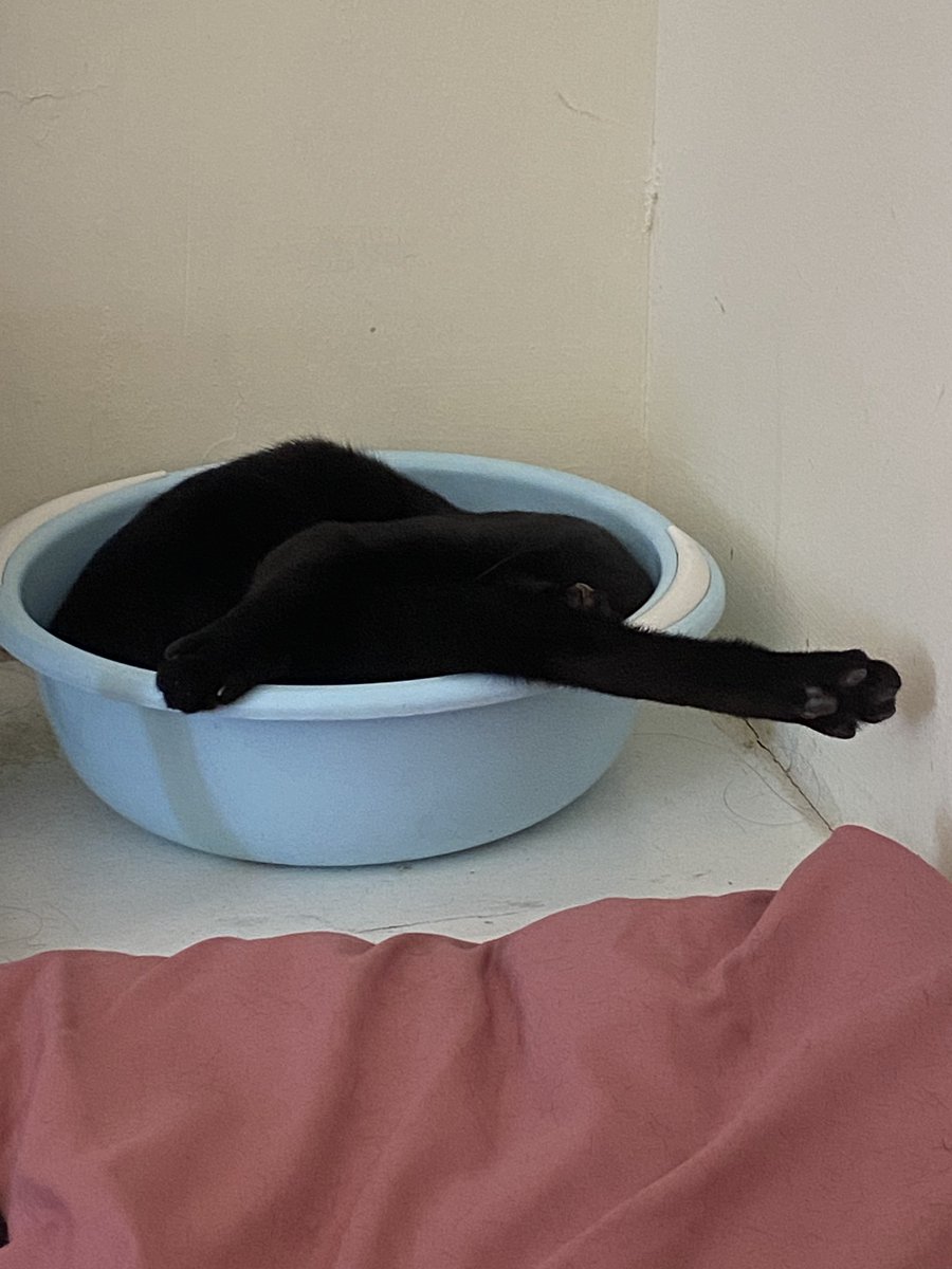 fixdboy's tweet image. เจ๋งแปลว่าอิสระ