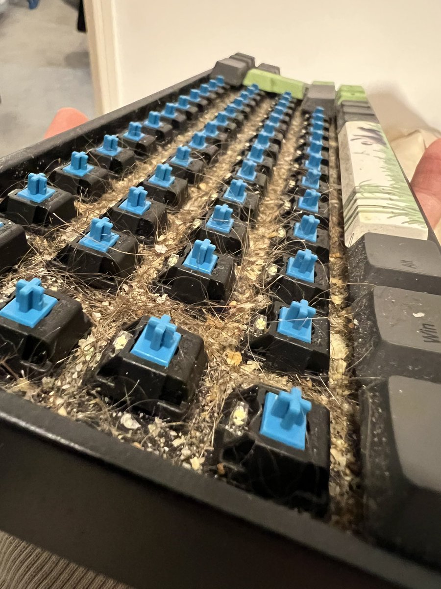 GingerBeardie tweet media