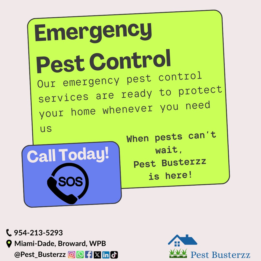 pest_busterzz's tweet image. When pests strike unexpectedly, Pest Busterzz has you covered! 🛠️ Our emergency pest control services are here to keep your home protected, day or night. Don’t let pests disrupt your peace—call us anytime! #EmergencyPestControl #PestBusterzz pestbusterzz.com