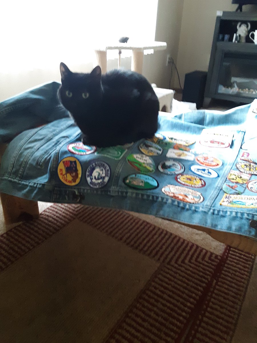 mattdotta1's tweet photo. Mine.  🐈 https://t.co/AhI2a2jgHW