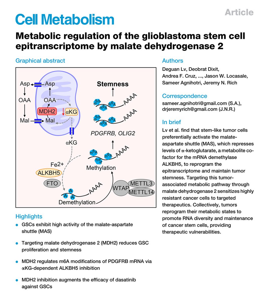 Pitt Neurosurgery (@pittneurosurg) on Twitter photo Sameer Agnihotri, Jeremy Rich labs demonstrate glioblastoma stem cells reprogram their metabolism to induce changes in their epitranscriptomes and reveal possible therapeutic paradigms. bit.ly/4hKA5Iz <a href="/UPMCHillmanCC/">UPMC Hillman Cancer Center</a> <a href="/PittResearch/">PittResearch</a> <a href="/PittHealthSci/">Pitt Health Sciences</a> <a href="/CellPressNews/">Cell Press</a> Sameer Agnihotri, Jeremy Rich labs demonstrate glioblastoma stem cells reprogram their metabolism to induce changes in their epitranscriptomes and reveal possible therapeutic paradigms. bit.ly/4hKA5Iz <a href="/UPMCHillmanCC/">UPMC Hillman Cancer Center</a> <a href="/PittResearch/">PittResearch</a> <a href="/PittHealthSci/">Pitt Health Sciences</a> <a href="/CellPressNews/">Cell Press</a>