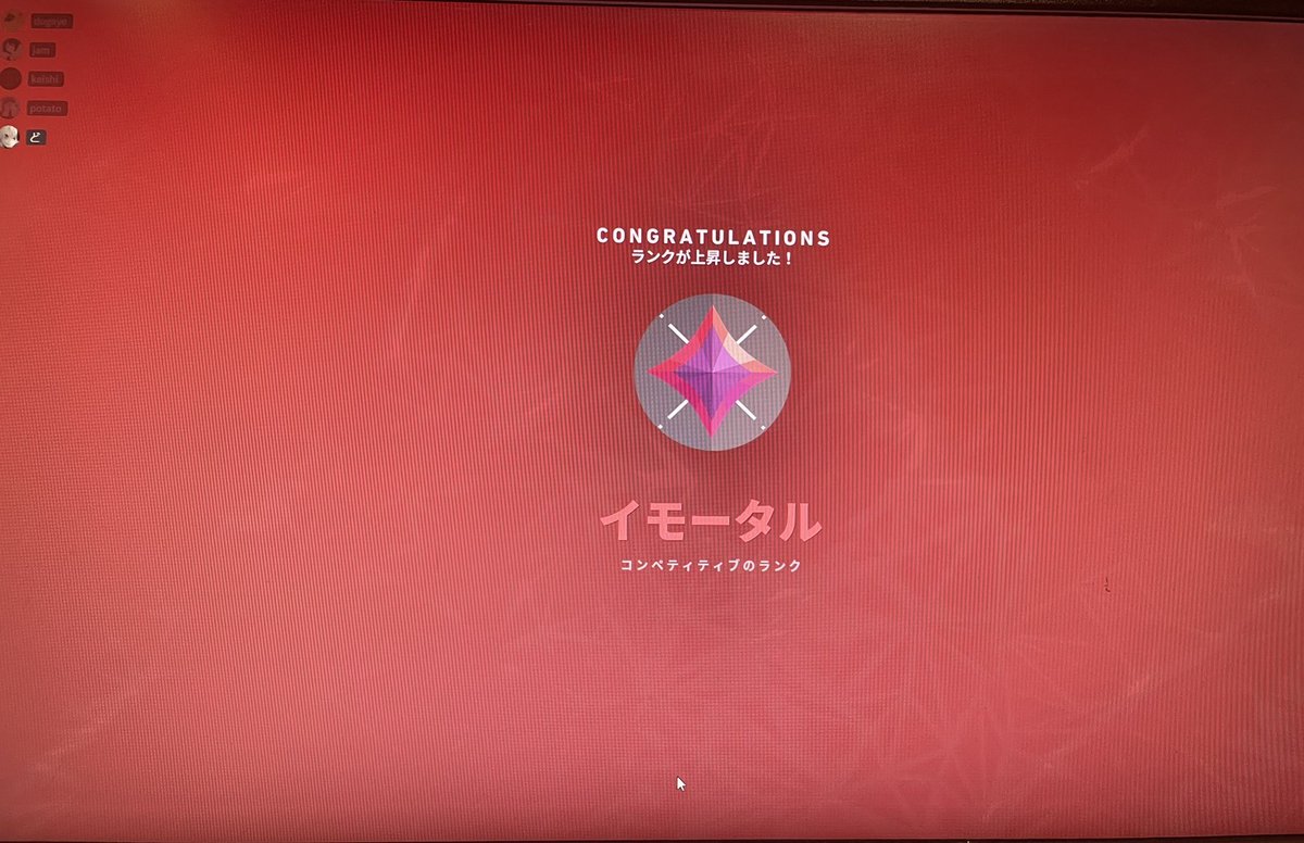 dogeye🐶👁 tweet media