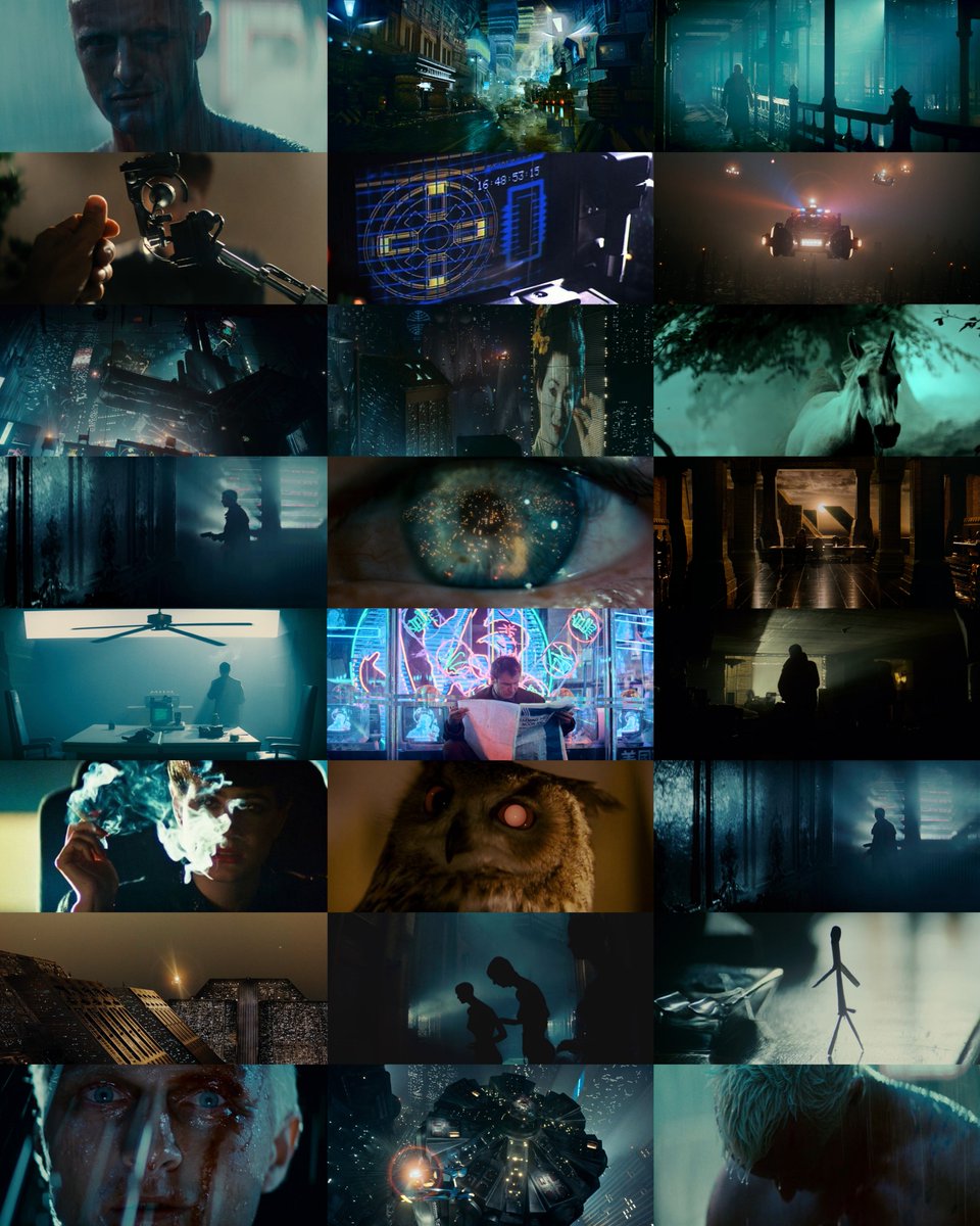 Cinematic tweet media