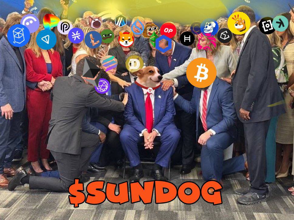 SunDog 🐾 tweet media