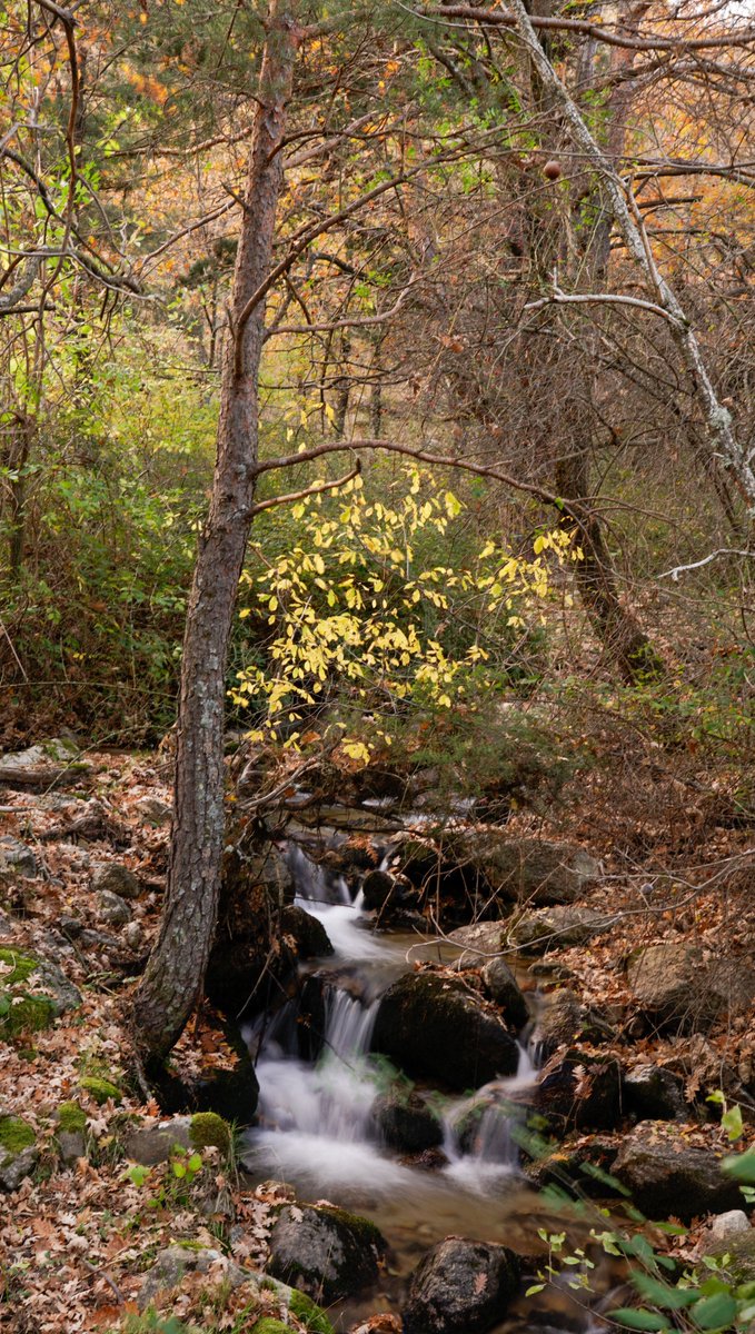 Otoño en Cercedilla
