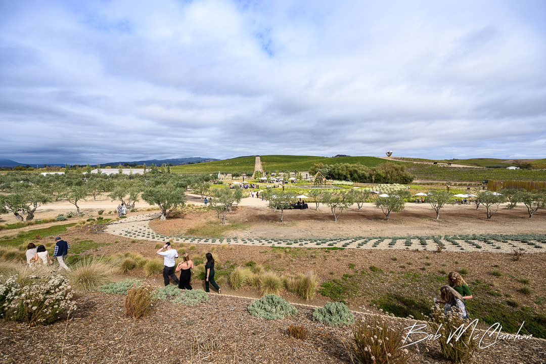 BobMc's tweet photo. The Donum Estate held their harvest celebration a few weeks ago. Guests could take in the beautiful art installations while sipping on wine and chewing on food. https://t.co/gxtCFOJPwr