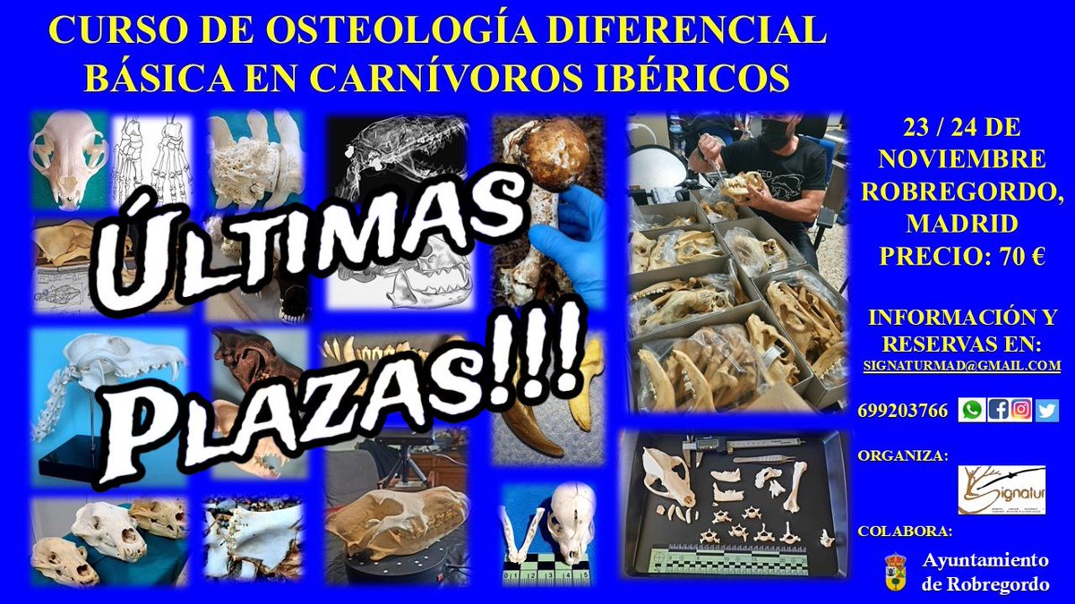 Signatur (@signaturweb) on Twitter photo 