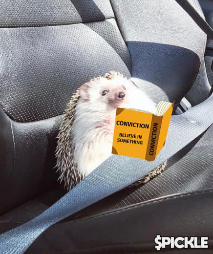 pickleonpump's tweet photo. @brookcalls @elonmusk Hedgehog season is upon us . Thank you @elonmusk https://t.co/zJvunA1Xif