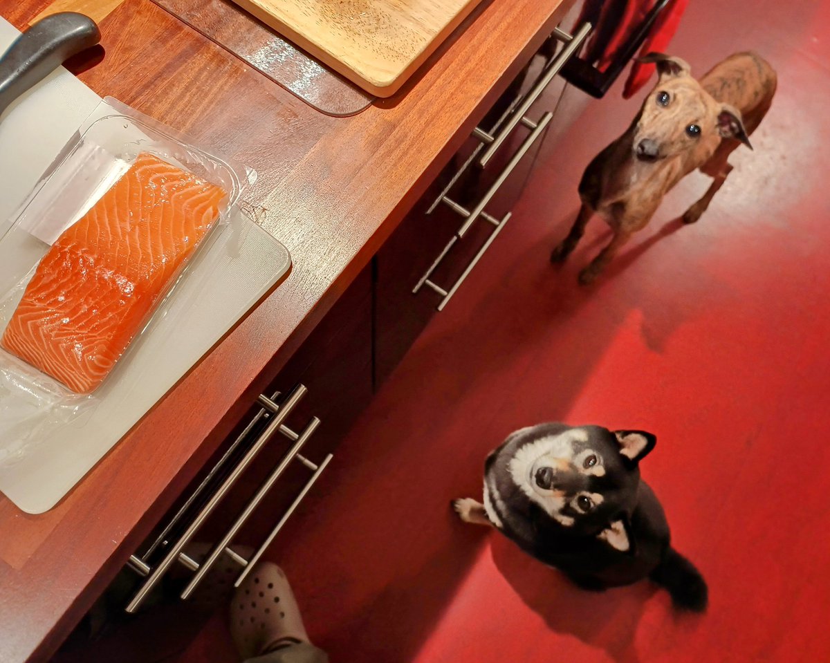 Salmon sous chefs awaiting instructions