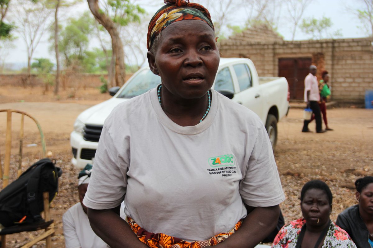 Did you know bamboo can be a game-changer for sustainable development?

CIFOR-ICRAF's Dr. Nicholas Hogarth shared how the EU-supported #Z4ABC project in Eastern Zambia is empowering communities to protect forests and create ‘green’ jobs. 

We’re creating green jobs &amp; empowering