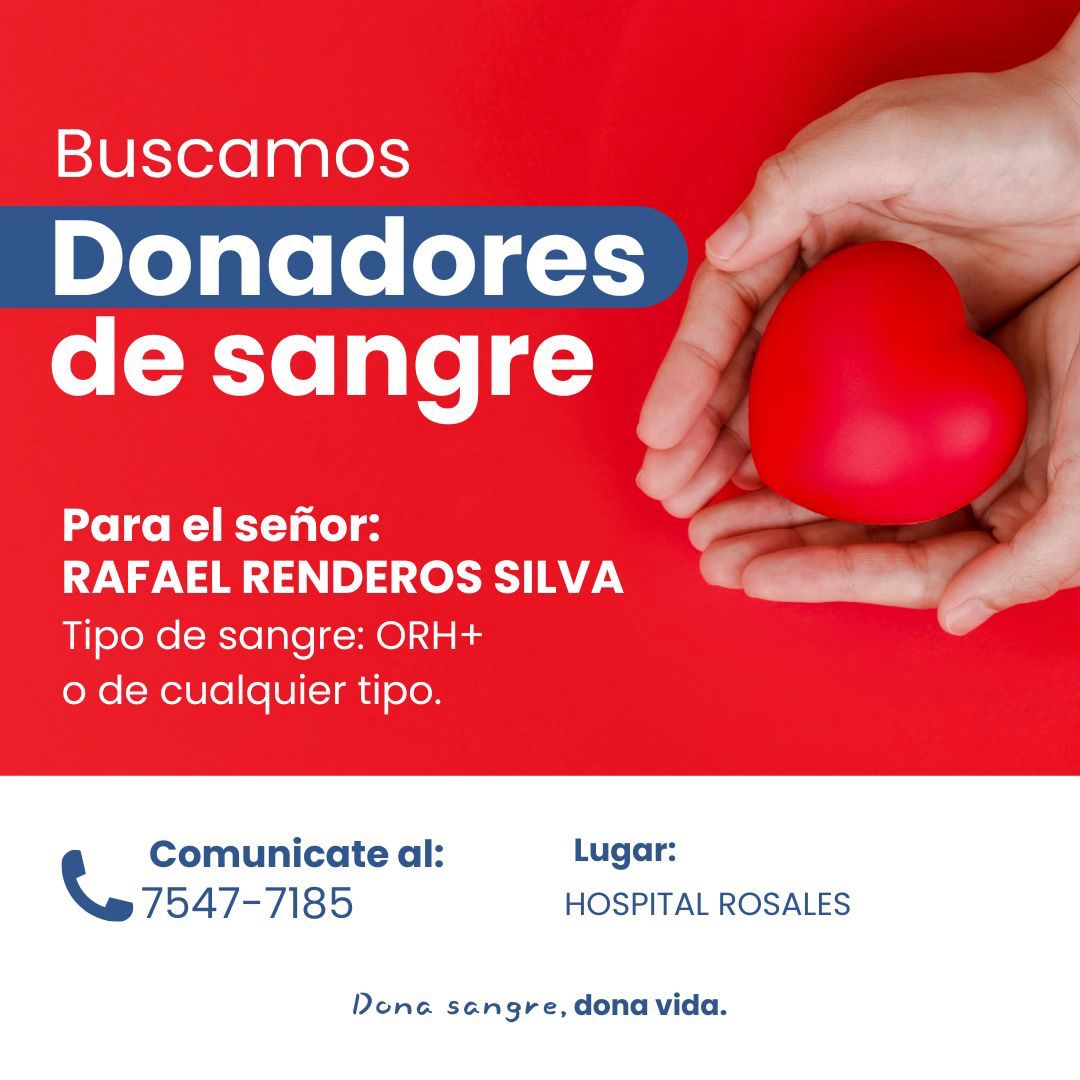 Servicio Social