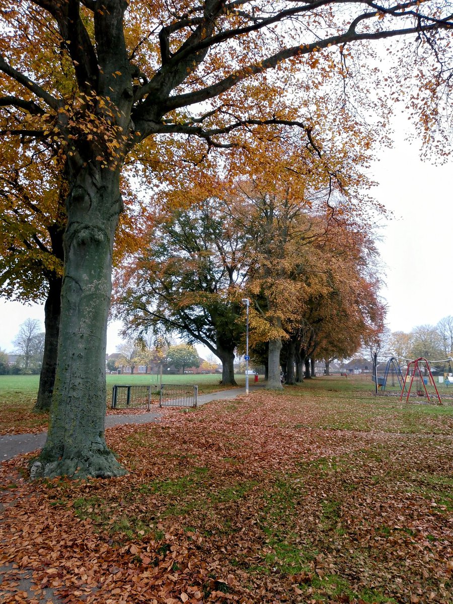 phil0073's tweet photo. #CopperBeeches pathway #PhilOnaBike #treepeople #sherlockholmes https://t.co/TkAQUfIaga