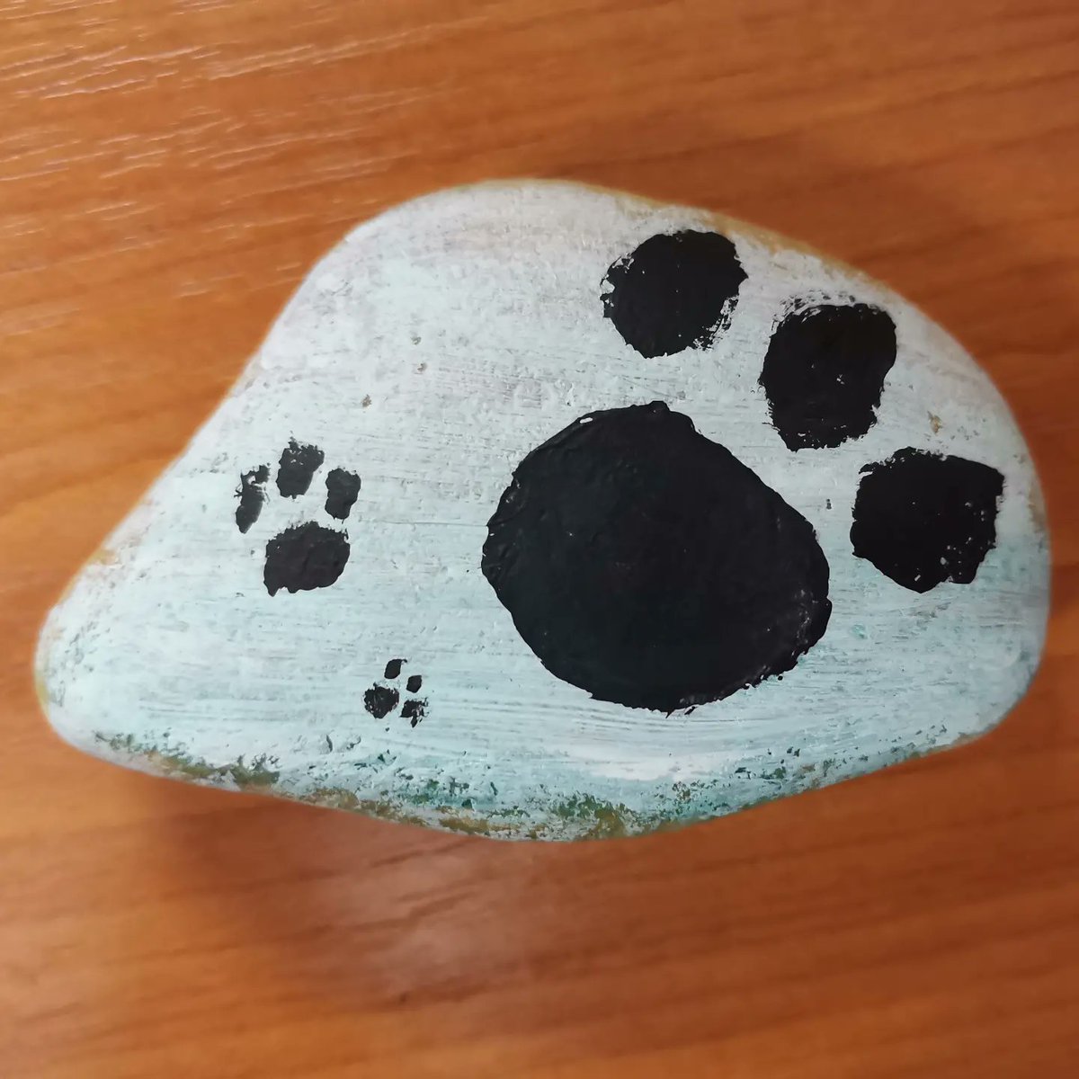 DzseniHu's tweet photo. Fennec fox rock
-by me (: https://t.co/drBwC71O58