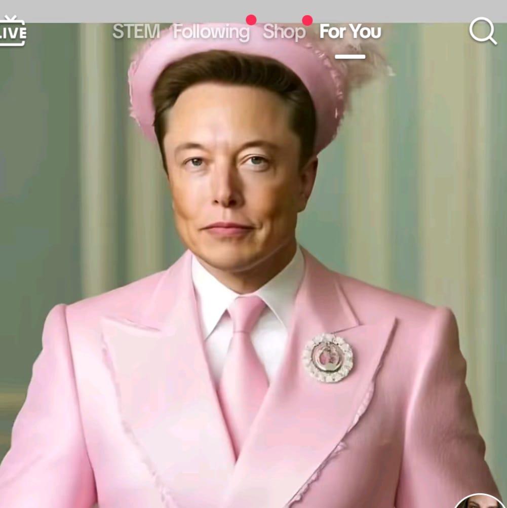 ShawyerK's tweet photo. #elonmusk #FirstLady So if Elon hates it, it'd be wrong to mock him! https://t.co/rcnNpZua5d