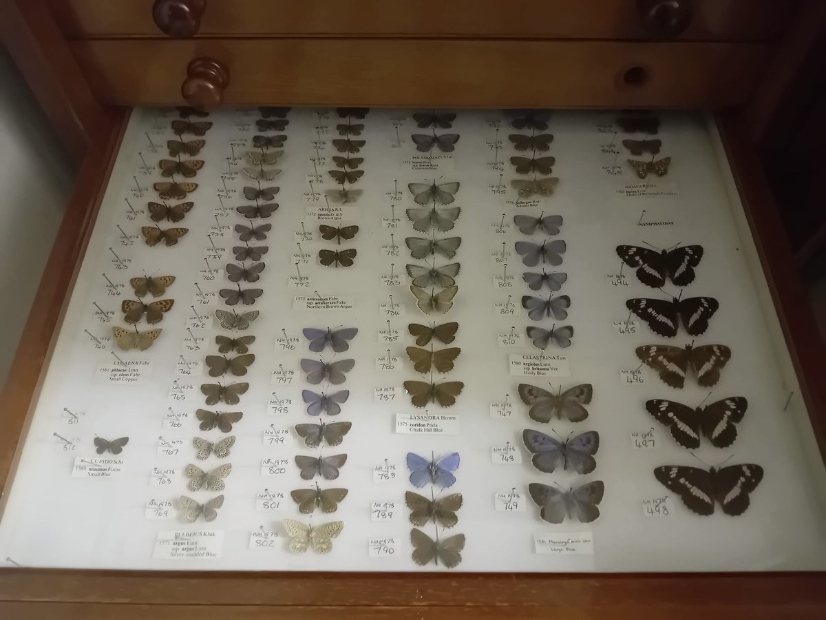 Scottish Museums Federation tweet media