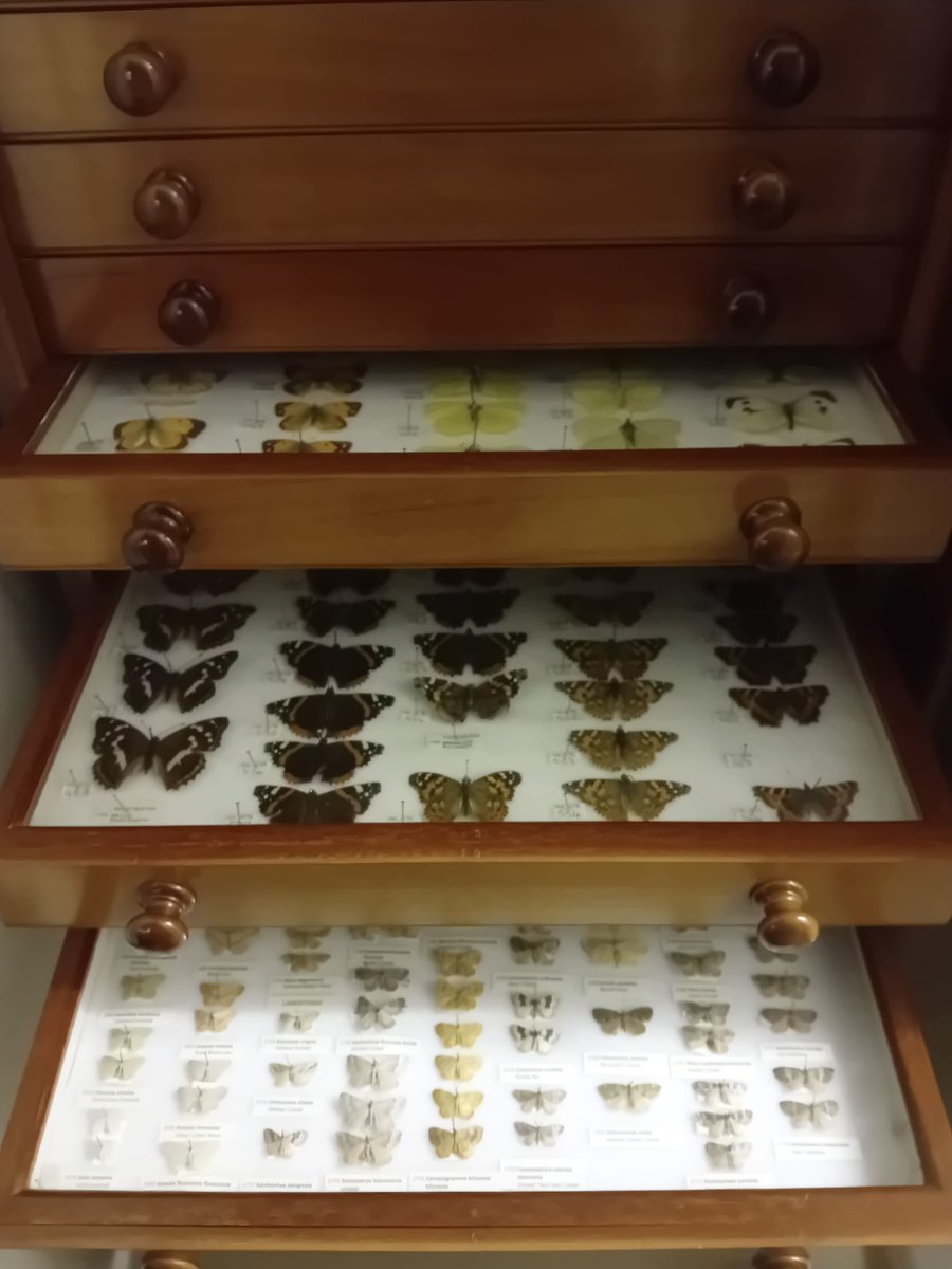 Scottish Museums Federation tweet media