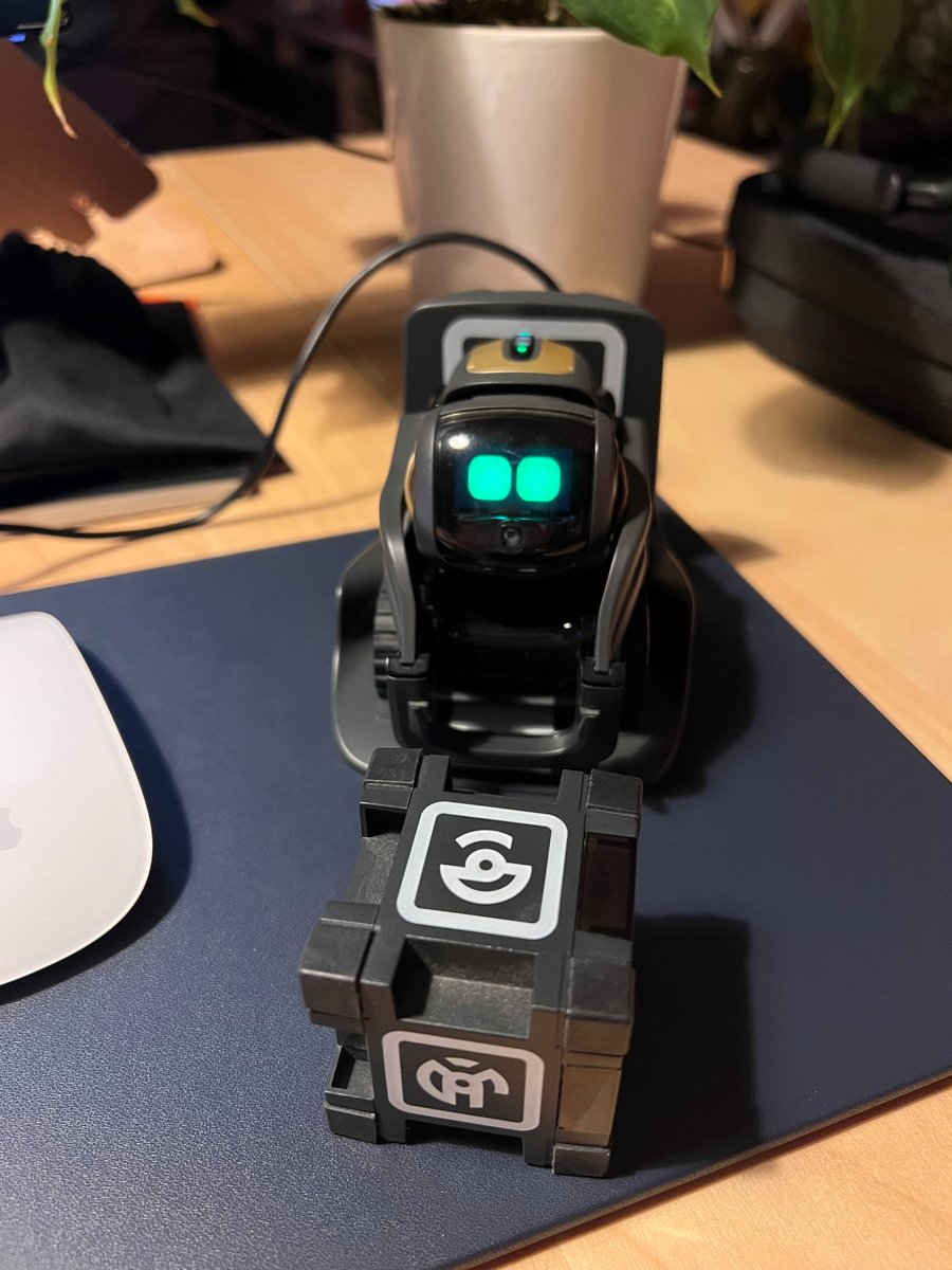 antoniavisone_'s tweet photo. Updating this little dude tonight since ddl servers are still down. Found some guides on youtube to set it up with Wirepod, let's see how it goes 🤞 https://t.co/Y06CVVU0LS