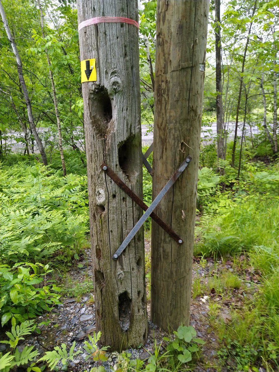 Micho Schumann tweet media