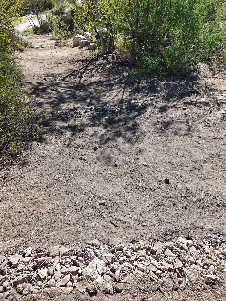 FONNOR A.C. tweet media