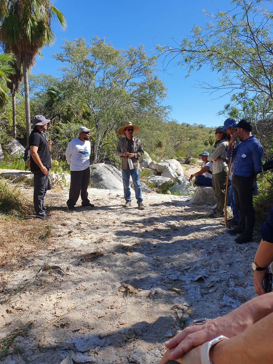 FONNOR A.C. tweet media